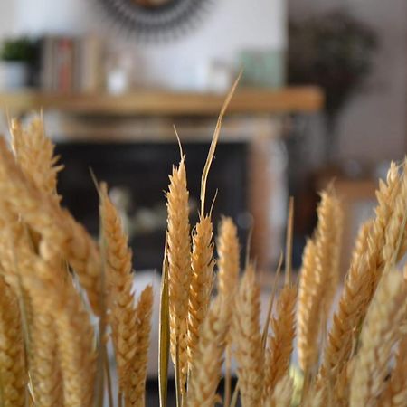 Finca Paredes Valdetorres de Jarama Kültér fotó
