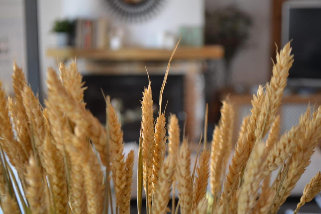 Finca Paredes Valdetorres de Jarama Kültér fotó