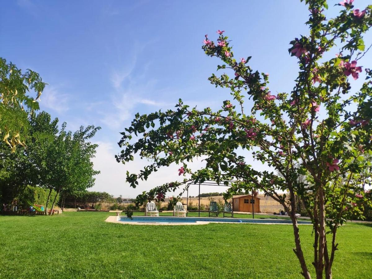 Finca Paredes Valdetorres de Jarama Kültér fotó