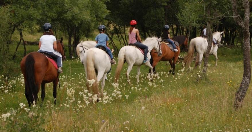 Finca Paredes Valdetorres de Jarama Kültér fotó